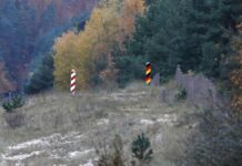 EVP-Chef Weber glaubt an baldiges Ende der Grenzkontrollen