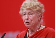 Schwan wirft Stark-Watzinger mangelnde Kenntnis des Grundgesetzes vor