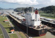 OECD erwartet stetiges Wachstum der Weltwirtschaft