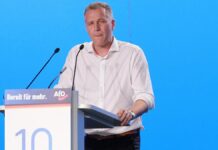 SPD fordert von AfD Konsequenzen nach Durchsuchungen bei Bystron