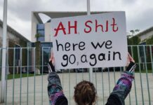 Deutschland und Frankreich über Lage in Georgien besorgt