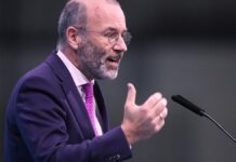 Weber hält AfD-Rauswurf für "zu spätes Warnsignal"