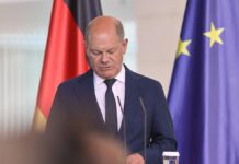 Scholz kondoliert nach tödlichem Erdrutsch in Papua-Neuguinea