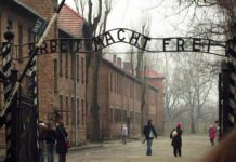 Paus fordert Besuchsprogramme für Azubis in Auschwitz