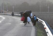 Linke: Drittstaaten-Regelung "nicht umsetzbares Versprechen"