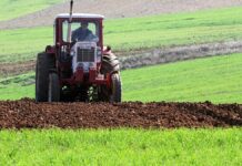 Neuer Konflikt zwischen Bund und Ländern um Glyphosat Neuer Konflikt zwischen Bund und Ländern um Glyphosat