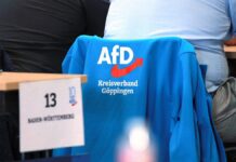 AfD will auf Parteitag Verhältnis zu Russland und China diskutieren