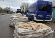 Landesumweltminister will Grundgesetzänderung für Klimaanpassung Landesumweltminister will Grundgesetzänderung für Klimaanpassung