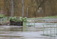 MPK-Chef pocht auf verpflichtende Elementarschadenversicherung