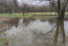 Union beklagt ungeklärte Finanzierung bei Klimaanpassungsgesetz