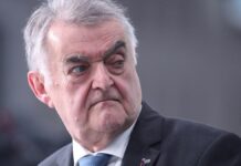 Reul sieht Zusammenhang zwischen Cannabis-Freigabe und Bandengewalt