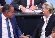 Politbarometer: Union und AfD legen zu – Grüne und FDP verlieren