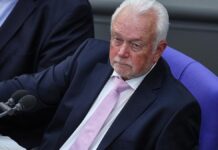 Kubicki offen für Debatte über Abschaffung des Asylrechts