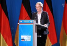 Weidel räumt Fehler im Europawahlkampf ein