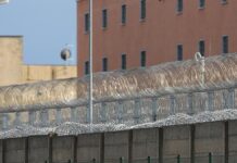 Verband fürchtet Überlastung der Gefängnisse