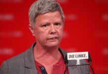 Nach EM-Vorfall: Linke drängt auf Verbot der Grauen Wölfe