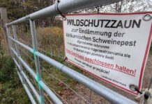 Özdemir will Drohnen zur Bekämpfung der Schweinepest nutzen