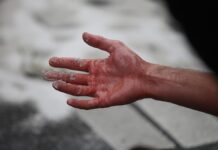 Wissing kritisiert "kriminelle Machenschaften" der Klimakleber