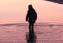 Bundesagentur für Arbeit setzt Kindergrundsicherung derzeit nicht um