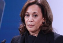 Umfrage: 79 Prozent der Deutschen würden Kamala Harris wählen