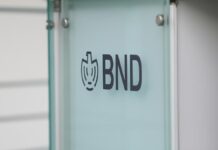 Von Notz drängt auf bessere Ausstattung von Geheimdiensten