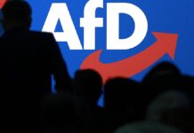 Urteil: Verfassungsschutz darf AfD in Bayern beobachten