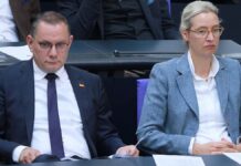 Insa: AfD und Grüne verlieren