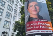 Liminski will Koalitionsentscheidungen mit BSW Ländern überlassen