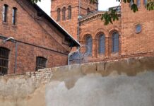 Polizeigewerkschaft fordert mehr Abschiebehaft und Charterflüge