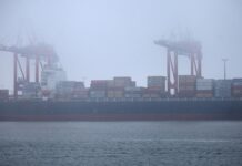 Ifo-Institut schließt neue Weltwirtschaftskrise nicht aus