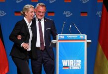 Insa: AfD legt in Wählergunst wieder zu