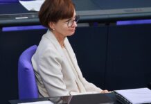 Stark-Watzinger will Embryonenschutz aufweichen