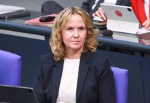 Lemke kritisiert Merz für Attacke auf Umweltverbände