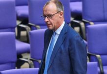 Merz-Vorschläge: Ex-Innenminister Baum rät seiner FDP zur Vorsicht