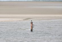 Gasförderung: Grüne wollen Borkum-Abkommen verhindern