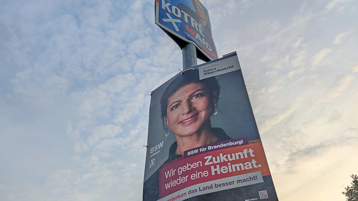 Weselsky kritisiert Umgang mit Wählern von AfD und BSW