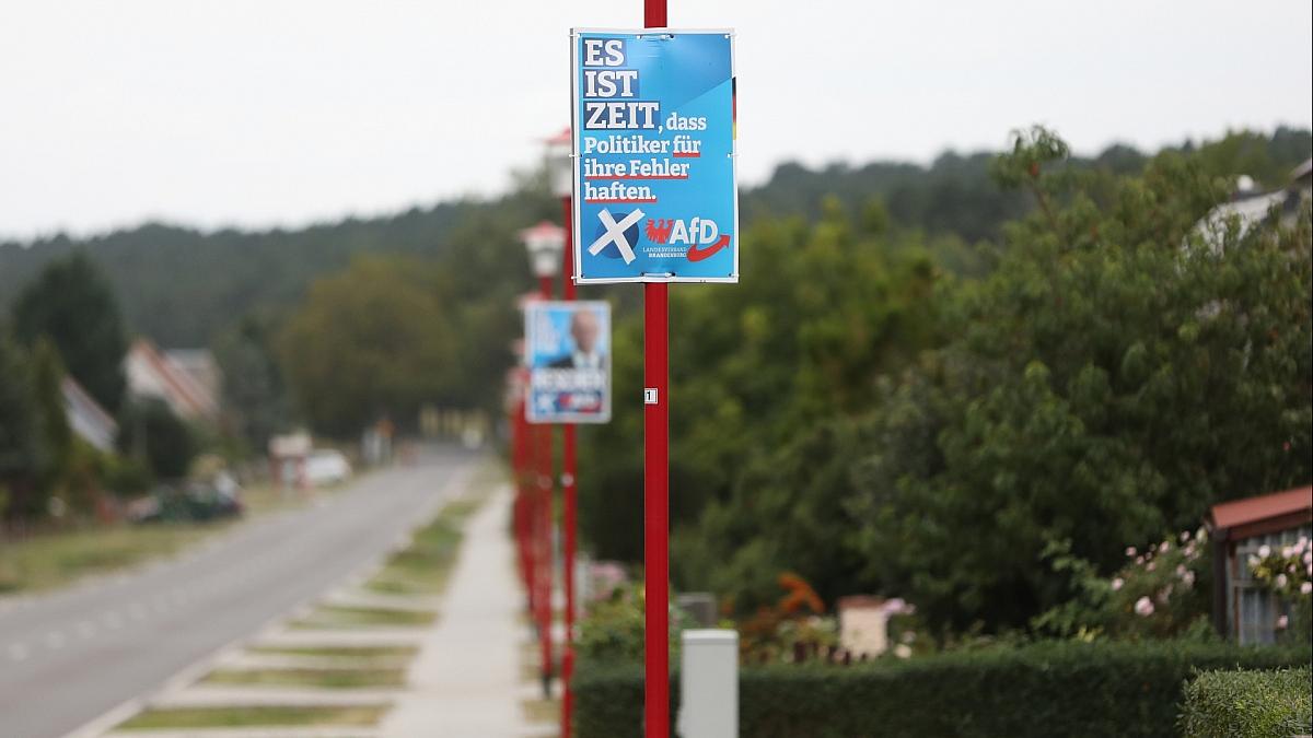 Von Dohnanyi: Regierungen ohne AfD-Beteiligung "Hauptziel"