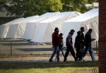 Asyl: Grüne pochen auf "Genehmigungsfiktion" für Arbeitserlaubnis