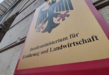 Kabinett beschließt Liberalisierung von Nutzhanf