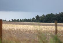 Wetterdienst warnt vor Gewittern mit Starkregen