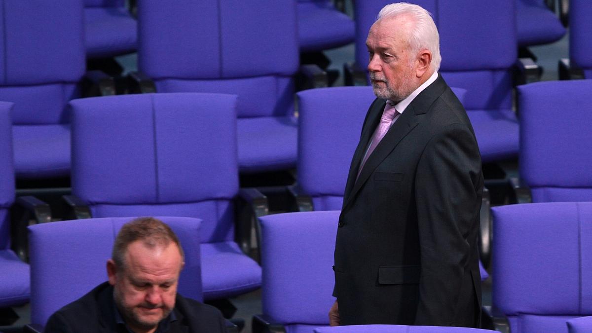 Kubicki: "Nicht alles, was aus der AfD kommt, ist Mist"