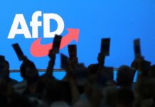 Studie: Weitgehend erfolgreiche Abgrenzung zu AfD in Kommunen