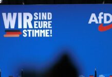 Zentralrat der Juden: "AfD ist keine Partei für Juden"