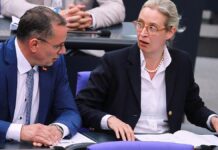 Bericht: AfD-Verbotsantrag verlangt Einzug des Parteivermögens