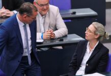 Spitzen von CDU und FDP sehen AfD-Verbotsverfahren kritisch