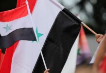 IMK-Chef für Neustart der diplomatischen Beziehungen mit Syrien