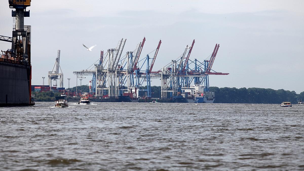 Hamburger Hafen sieht wachsende Handelsaktivität vor US-Wahl