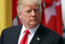 Transatlantikkoordinator mahnt zu Pragmatismus im Umgang mit Trump