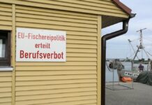 Özdemir will breitere Debatte über EU-Fischfangquoten Özdemir will breitere Debatte über EU-Fischfangquoten
