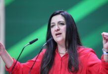 Pegah Edalatian soll Politische Geschäftsführerin der Grünen werden Pegah Edalatian soll Politische Geschäftsführerin der Grünen werden